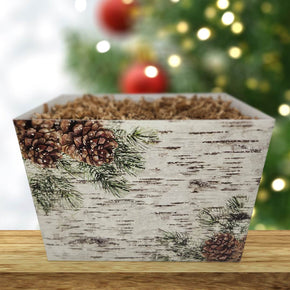 Create Your Own Birch and Pine Gift Box