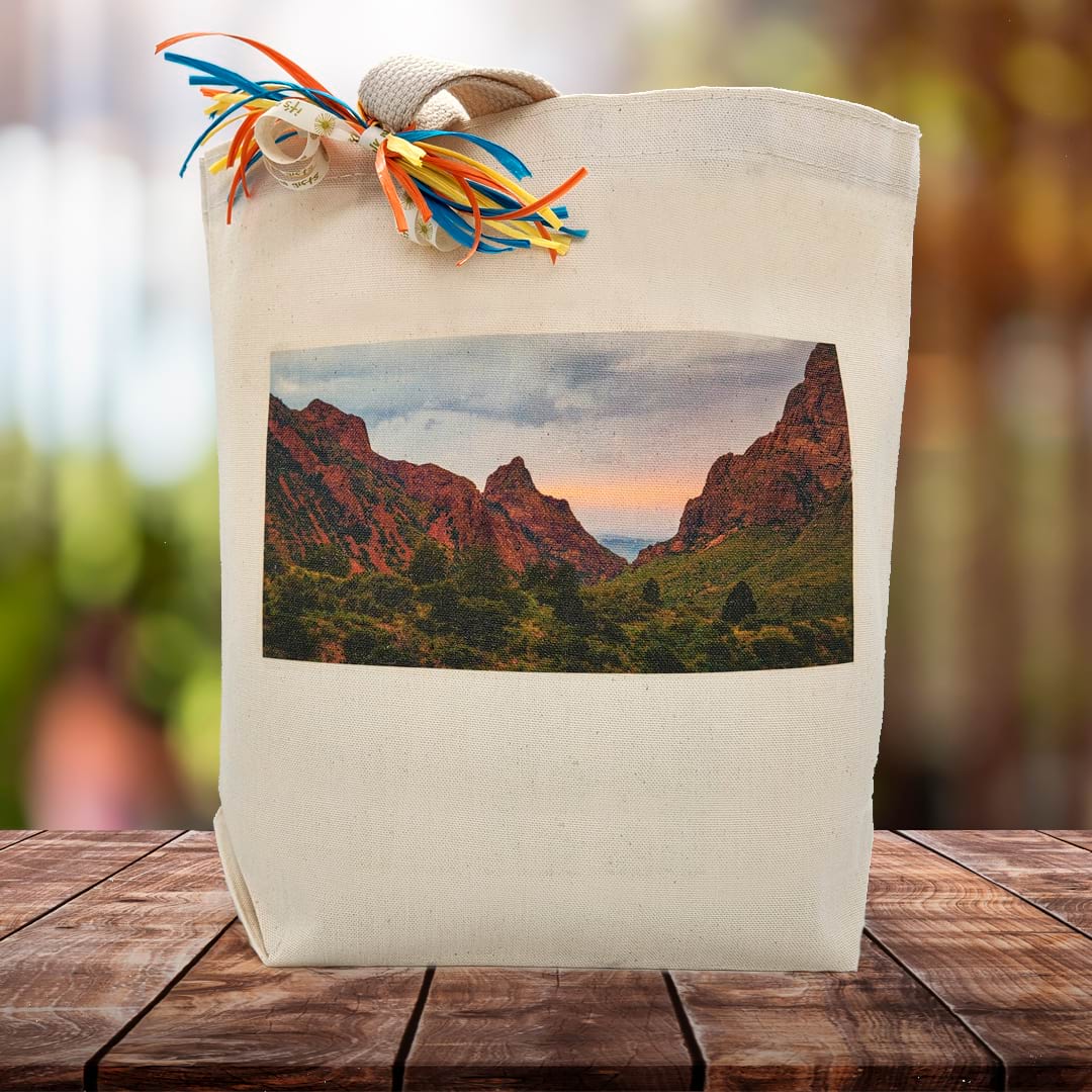 Naturally Texas Gift Tote