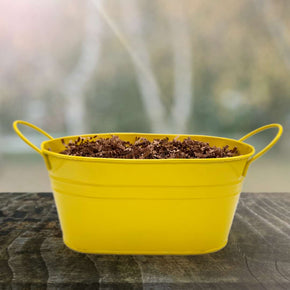 Spring Colors Tin Tub