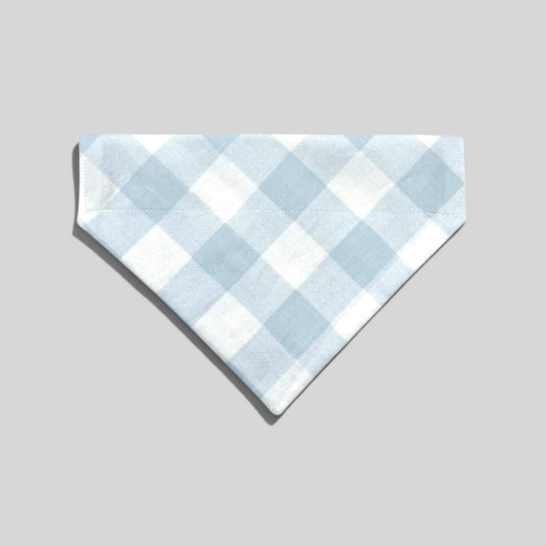 small dog bandana over the collar