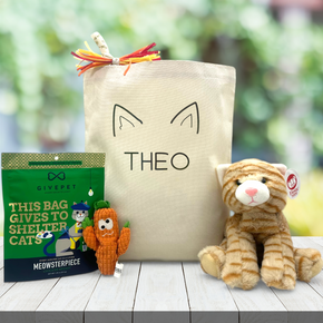 Purrfectly Pointed Cat Gift Basket