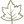 fall leaf