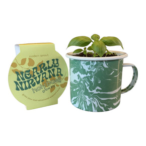 Modern Sprout Basil Grow kit with a swirl green and white mug with a basil plant inside