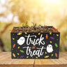 Mini trick or treat gift box