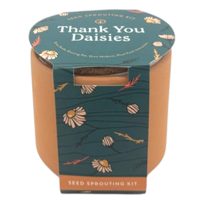 Modern Sprout Tiny Thank You Daisies Terracotta Grow Kit