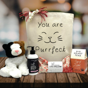 You Are Purrfect New Baby Gift Basket